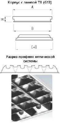 �������. �����